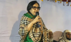 বিএনপি ও যুবদলের দুই নেতার বিরুদ্ধে রুমিন ফারহানার অভিযোগ